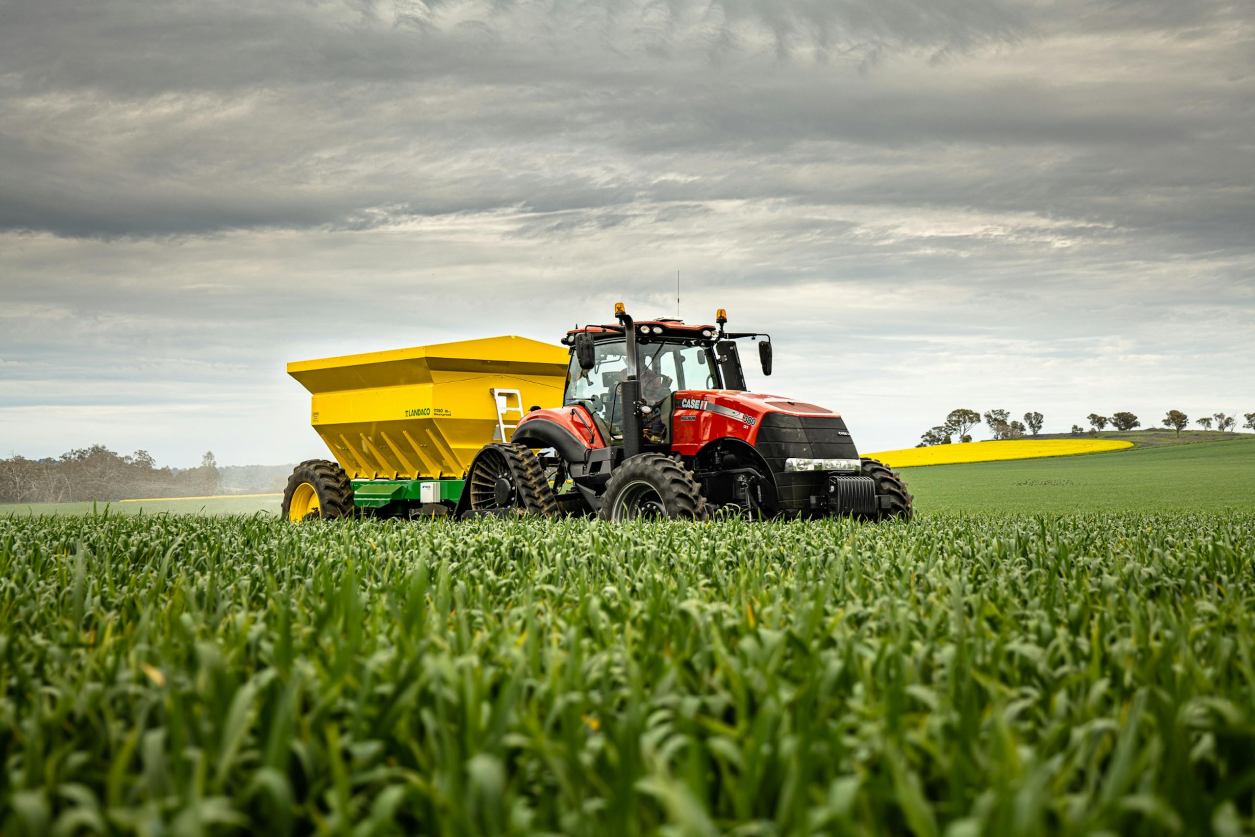 Red tractor and trailer in a vibrant cornfield under a dramatic cloudy sky.
